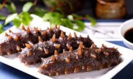 吃瓜爆料海参是真的吗